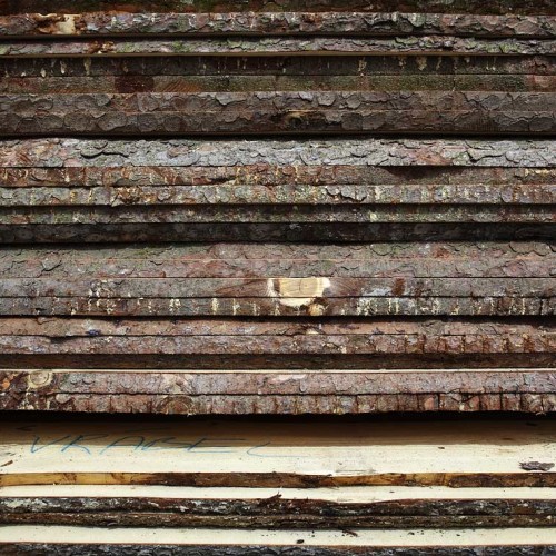Zimni-tezba_2509